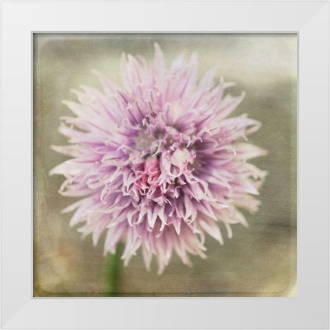 Waiting on Purple XII White Modern Wood Framed Art Print by Jorgensen, Jennifer