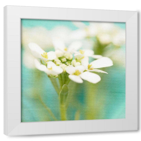 White Flowers I White Modern Wood Framed Art Print by Jorgensen, Jennifer