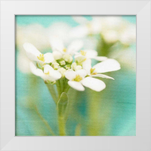 White Flowers I White Modern Wood Framed Art Print by Jorgensen, Jennifer