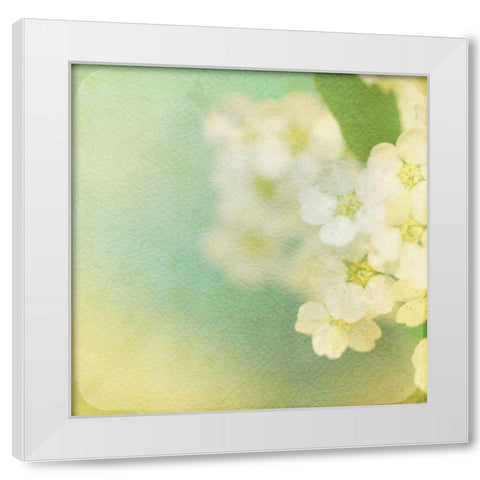 White Flowers II White Modern Wood Framed Art Print by Jorgensen, Jennifer