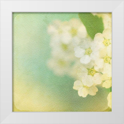 White Flowers II White Modern Wood Framed Art Print by Jorgensen, Jennifer