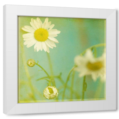 White Flowers IV White Modern Wood Framed Art Print by Jorgensen, Jennifer