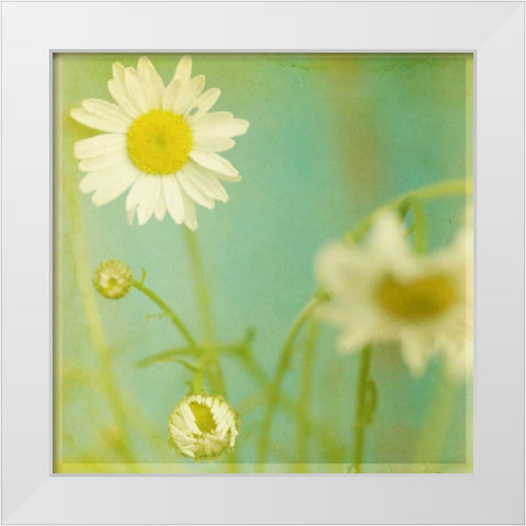 White Flowers IV White Modern Wood Framed Art Print by Jorgensen, Jennifer