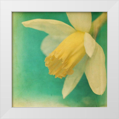 White Flowers V White Modern Wood Framed Art Print by Jorgensen, Jennifer