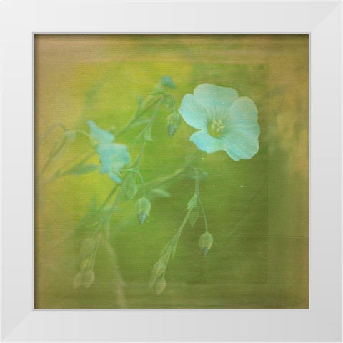 White Flowers VI White Modern Wood Framed Art Print by Jorgensen, Jennifer