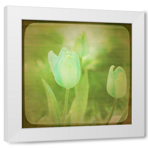White Flowers VIII White Modern Wood Framed Art Print by Jorgensen, Jennifer
