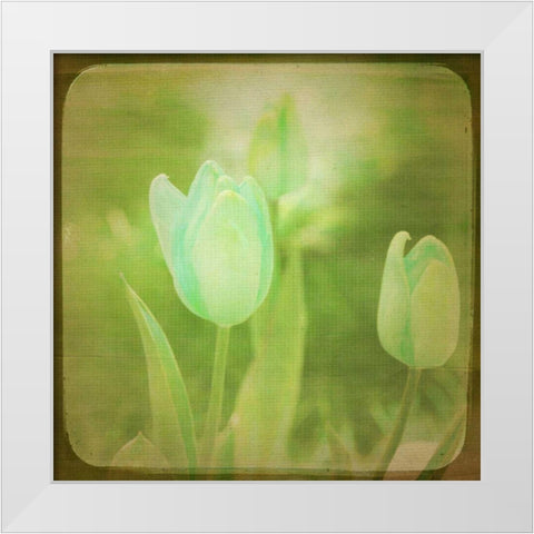 White Flowers VIII White Modern Wood Framed Art Print by Jorgensen, Jennifer