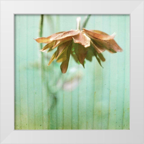 Dream in Pink II White Modern Wood Framed Art Print by Jorgensen, Jennifer