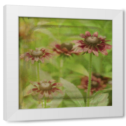Dream in Pink III White Modern Wood Framed Art Print by Jorgensen, Jennifer