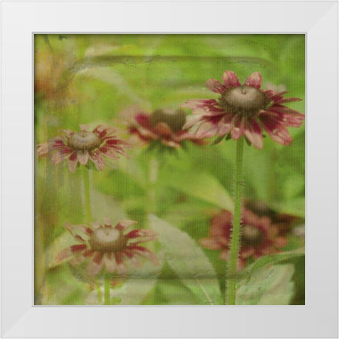 Dream in Pink III White Modern Wood Framed Art Print by Jorgensen, Jennifer