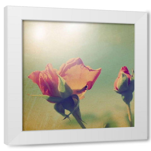 Dream in Pink V White Modern Wood Framed Art Print by Jorgensen, Jennifer