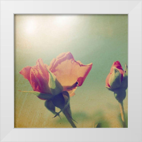 Dream in Pink V White Modern Wood Framed Art Print by Jorgensen, Jennifer