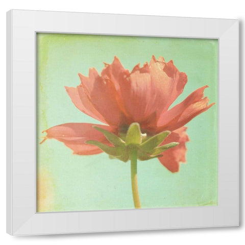 Dream in Pink VII White Modern Wood Framed Art Print by Jorgensen, Jennifer