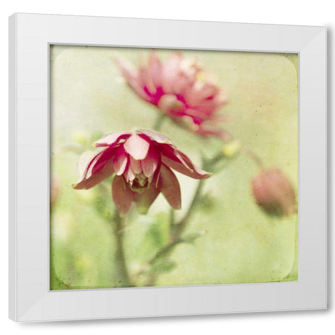 Dream in Pink VIII White Modern Wood Framed Art Print by Jorgensen, Jennifer