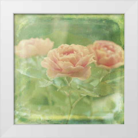 Dream in Pink X White Modern Wood Framed Art Print by Jorgensen, Jennifer