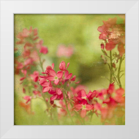 The Moment II White Modern Wood Framed Art Print by Jorgensen, Jennifer