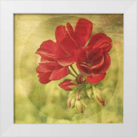 The Moment IV White Modern Wood Framed Art Print by Jorgensen, Jennifer