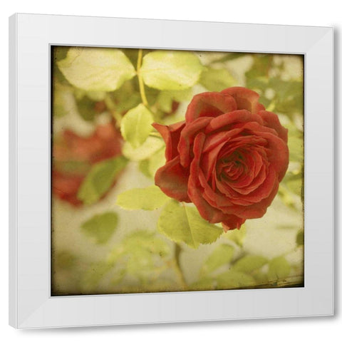 The Moment VI White Modern Wood Framed Art Print by Jorgensen, Jennifer