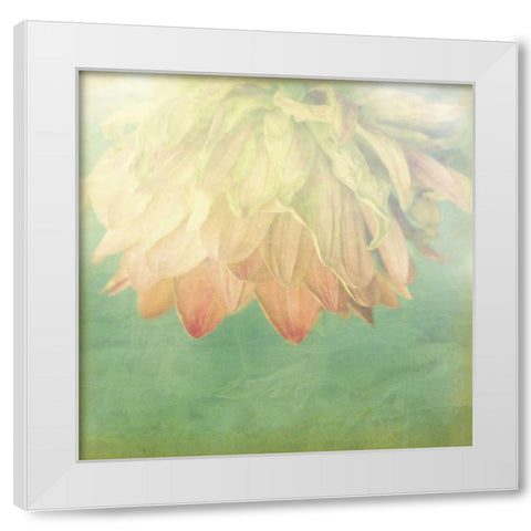 Pastel Paths II White Modern Wood Framed Art Print by Jorgensen, Jennifer