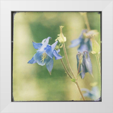 Pastel Paths V White Modern Wood Framed Art Print by Jorgensen, Jennifer
