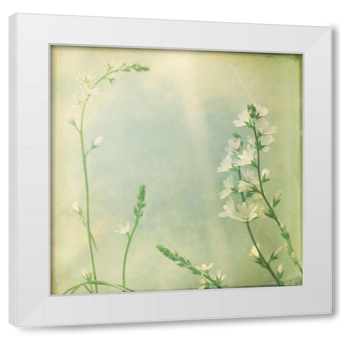 Pastel Paths IX White Modern Wood Framed Art Print by Jorgensen, Jennifer
