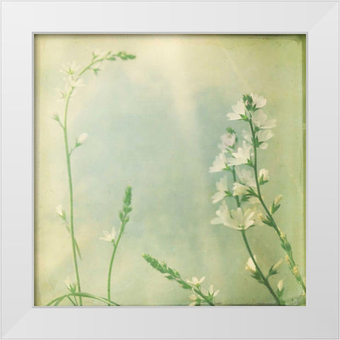 Pastel Paths IX White Modern Wood Framed Art Print by Jorgensen, Jennifer