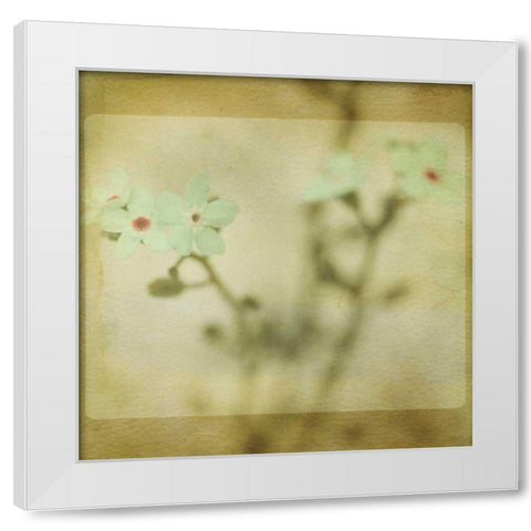 Pastel Paths XI White Modern Wood Framed Art Print by Jorgensen, Jennifer