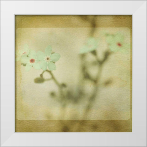 Pastel Paths XI White Modern Wood Framed Art Print by Jorgensen, Jennifer