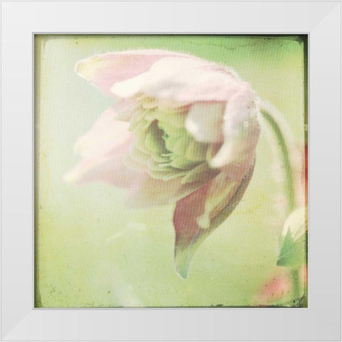 Pastel Paths XII White Modern Wood Framed Art Print by Jorgensen, Jennifer
