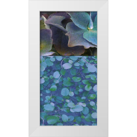 Hydrangea Mix II White Modern Wood Framed Art Print by Mountain, Ricki