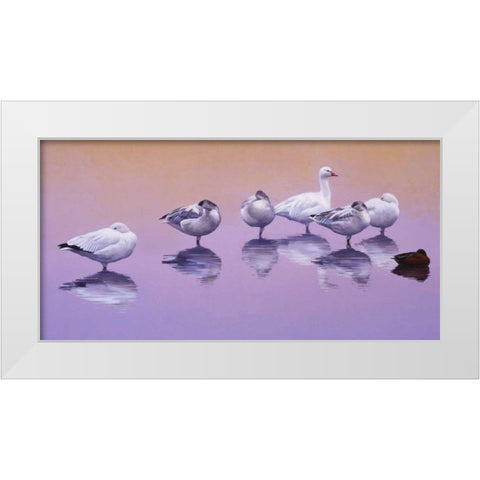 Odd Man Out White Modern Wood Framed Art Print by Chapman, Julie T.