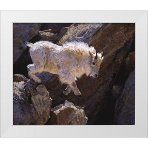 Rockhopper White Modern Wood Framed Art Print by Chapman, Julie T.