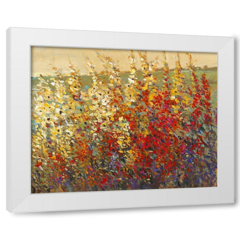 Field of Spring Flowers I White Modern Wood Framed Art Print by OToole, Tim