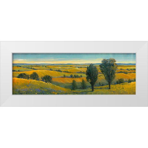 Picturesque Scene II White Modern Wood Framed Art Print by OToole, Tim