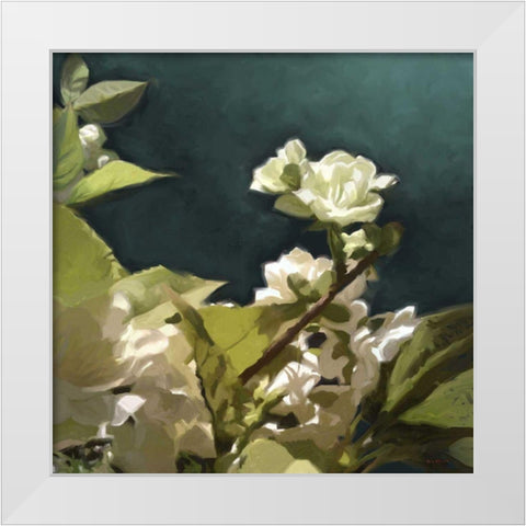 White Roses II White Modern Wood Framed Art Print by Novak, Rick
