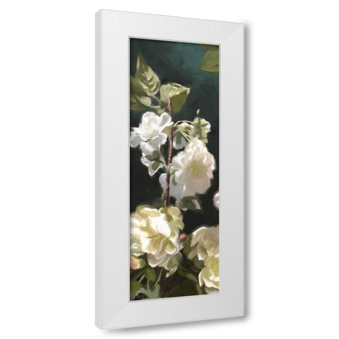 White Roses IV White Modern Wood Framed Art Print by Novak, Rick