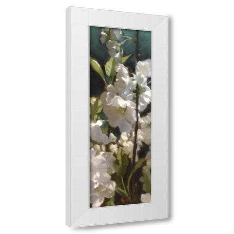 White Roses V White Modern Wood Framed Art Print by Novak, Rick