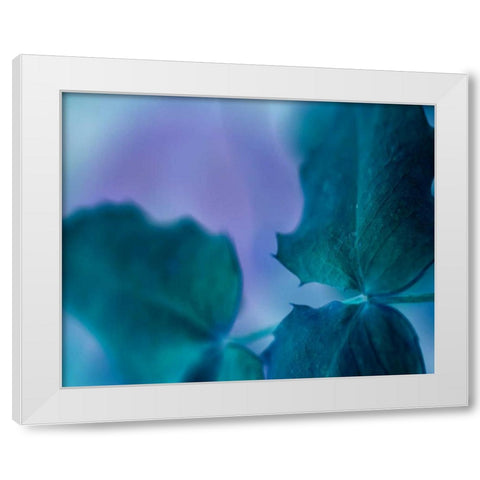 Intricacies II White Modern Wood Framed Art Print by Teton Parchment