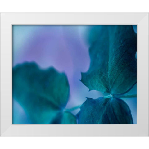 Intricacies II White Modern Wood Framed Art Print by Teton Parchment