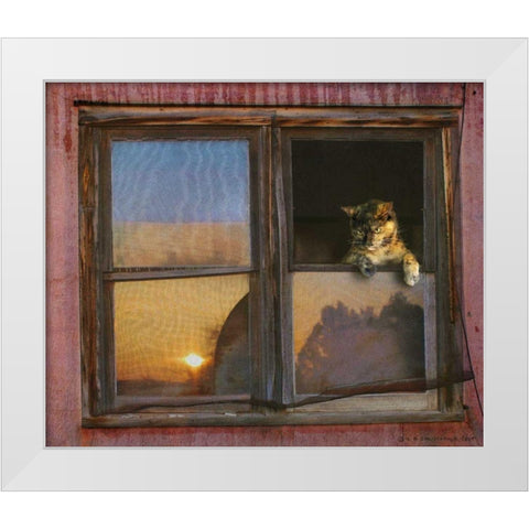 Kitten Window White Modern Wood Framed Art Print by Vest, Chris