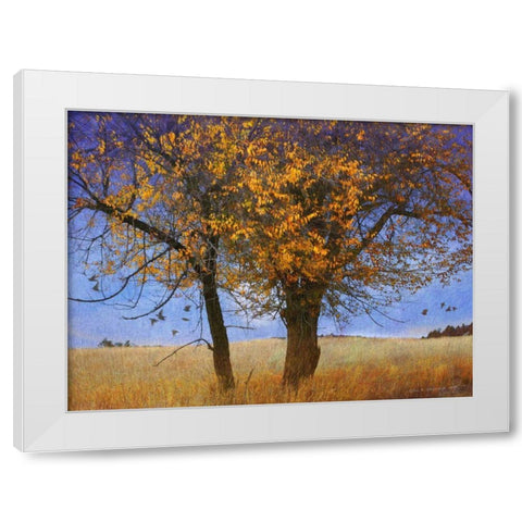 Yellow Elm White Modern Wood Framed Art Print by Vest, Chris