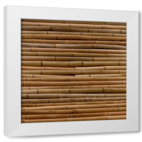 Natures Textures IV White Modern Wood Framed Art Print by Vision Studio
