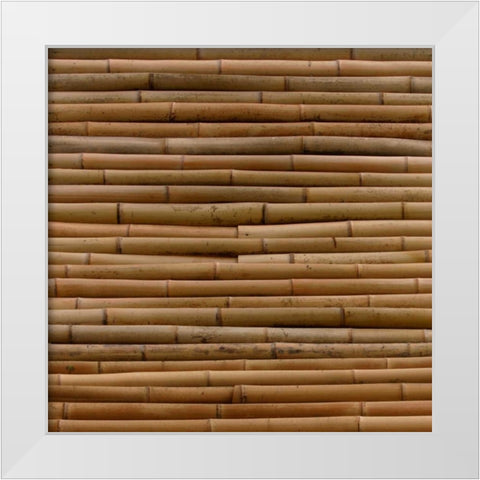 Natures Textures IV White Modern Wood Framed Art Print by Vision Studio