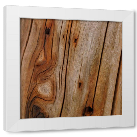Natures Textures IX White Modern Wood Framed Art Print by Vision Studio
