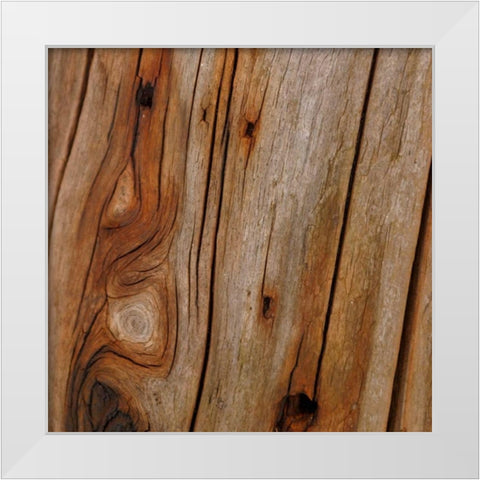 Natures Textures IX White Modern Wood Framed Art Print by Vision Studio