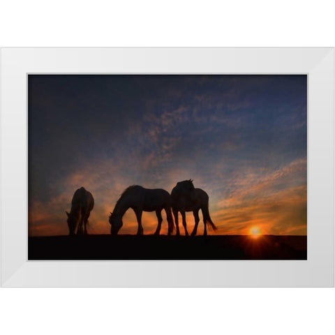 Camargue Sunrise White Modern Wood Framed Art Print by PHBurchett
