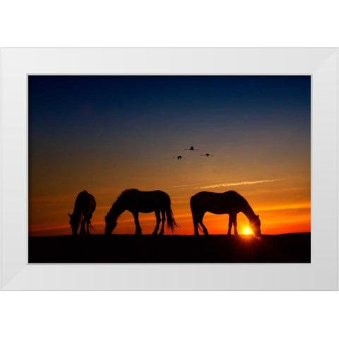Fly Over White Modern Wood Framed Art Print by PHBurchett