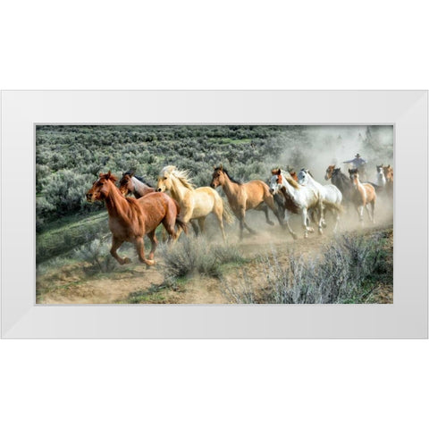 Stampede I White Modern Wood Framed Art Print by PHBurchett