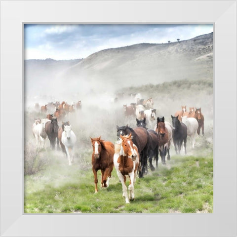 Stampede II White Modern Wood Framed Art Print by PHBurchett