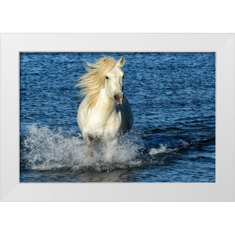 Blue Sea White Modern Wood Framed Art Print by PHBurchett